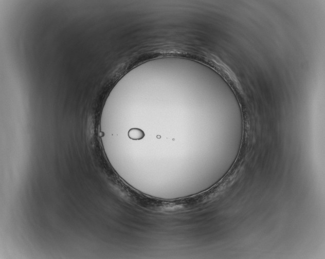 X0000116680257200912141011