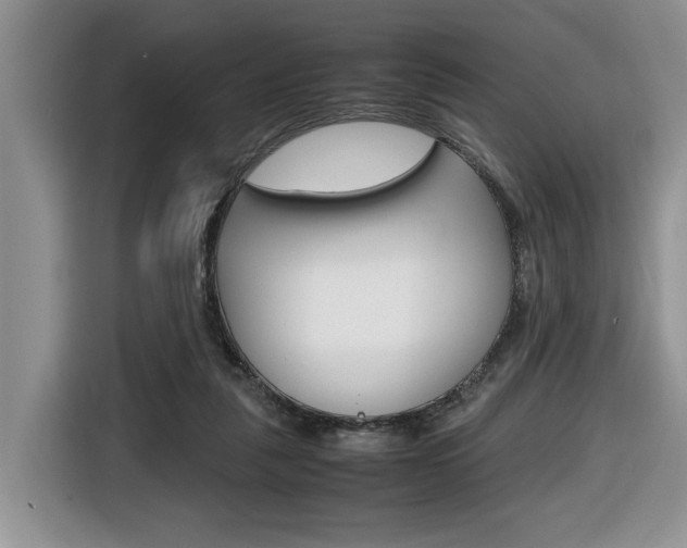 X0000116680259200912141011