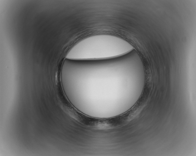 X0000116680262200912141011