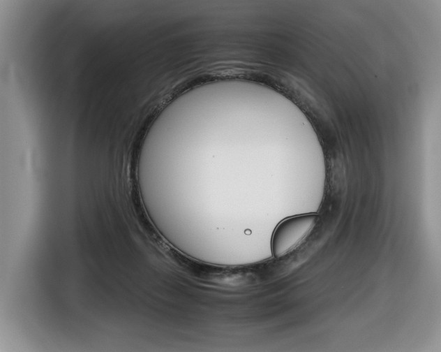 X0000116680267200912141011