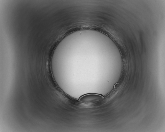 X0000116680269200912141011