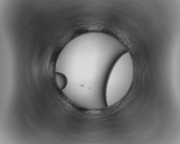 X0000116680273200912141011