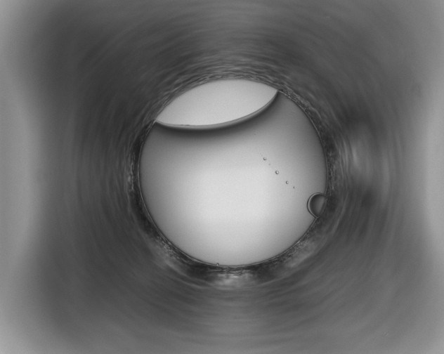 X0000116680274200912141011