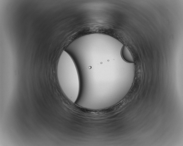 X0000116680275200912141011