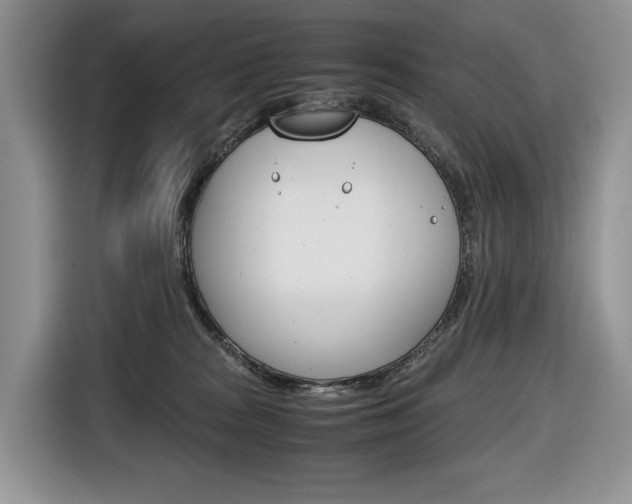 X0000116680277200912141011