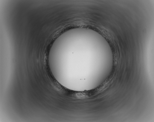 X0000116680279200912141011