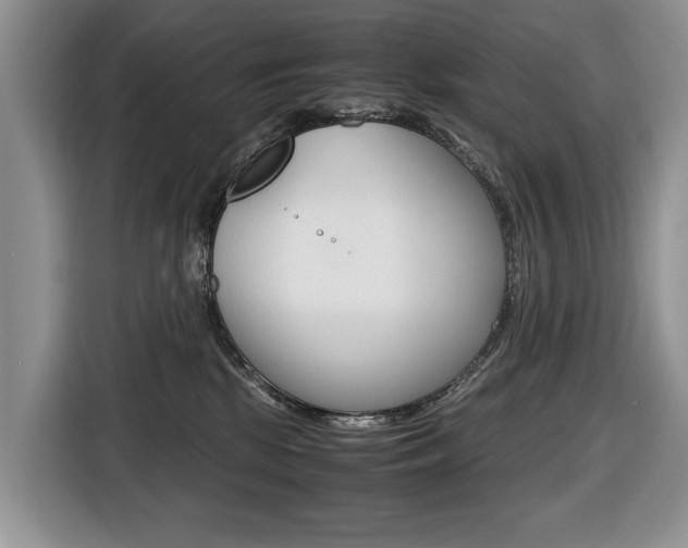 X0000116680281200912141011
