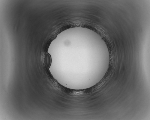 X0000116680283200912141011
