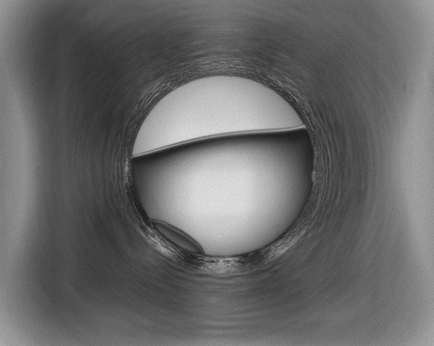 X0000116680288200912141011