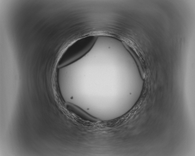 X0000116680289200912141011