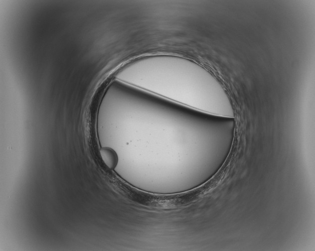 X0000116680295200912141011