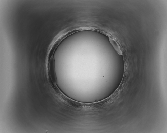 X0000116680296200912141011