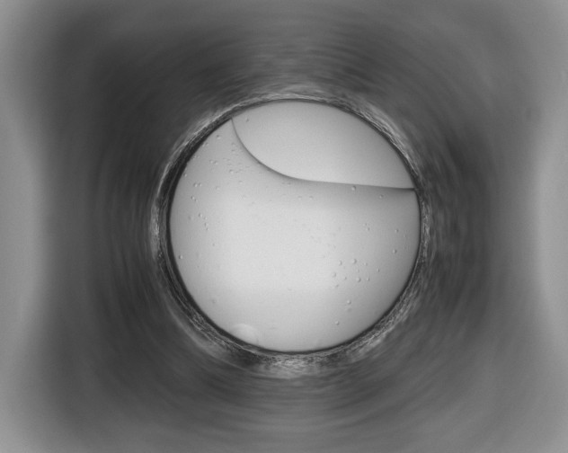 X0000116680298200912141011