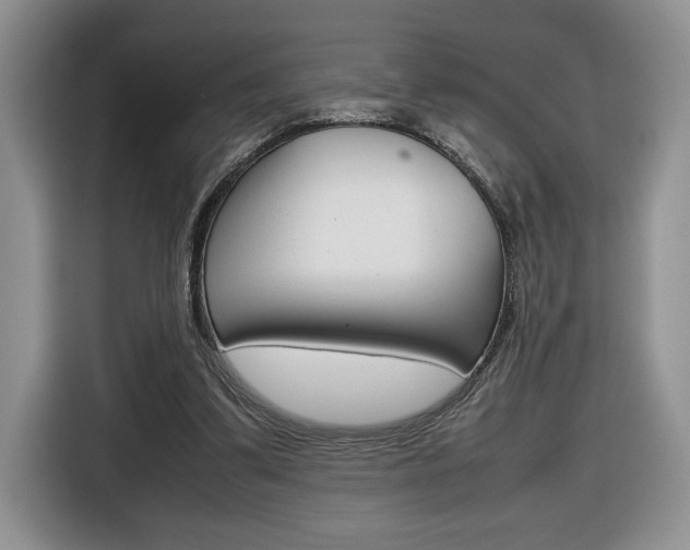 X0000116680299200912141011