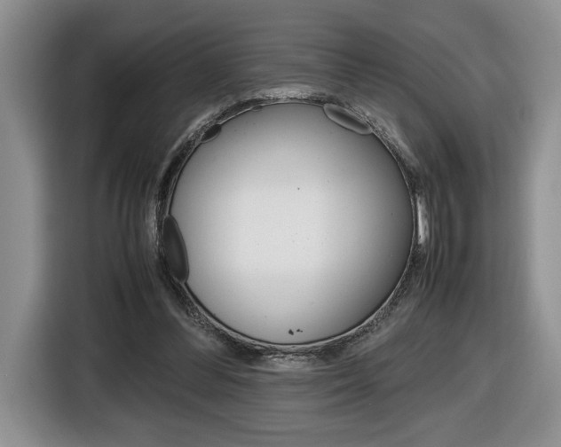 X0000116680300200912141011
