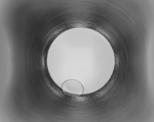 X0000116680302200912141011