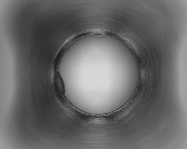 X0000116680304200912141011