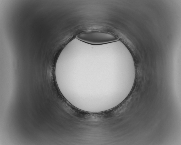 X0000116680305200912141011