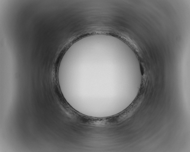 X0000116680306200912141011