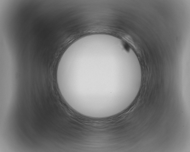 X0000116680309200912141010