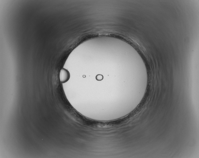 X0000116680311200912141010