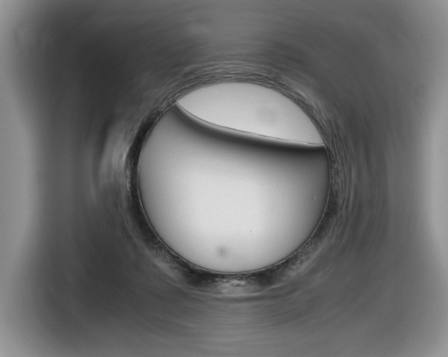 X0000116680315200912141010