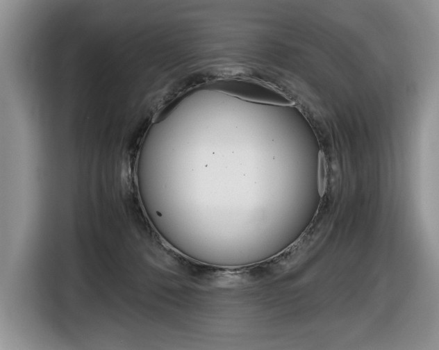 X0000116680320200912141010