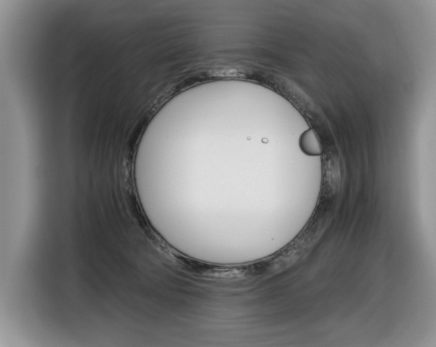 X0000116680322200912141010
