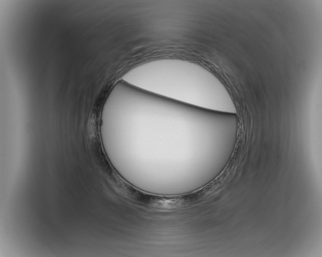 X0000116680323200912141010