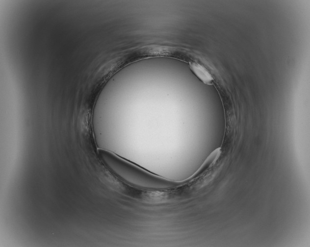X0000116680325200912141010