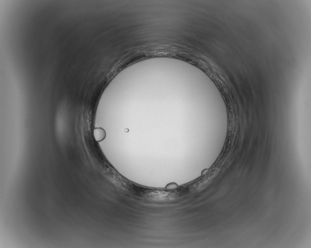 X0000116680326200912141010