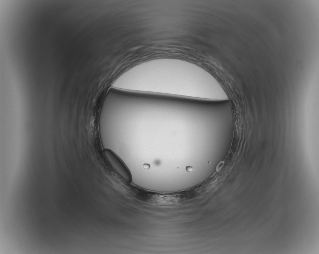 X0000116680327200912141010