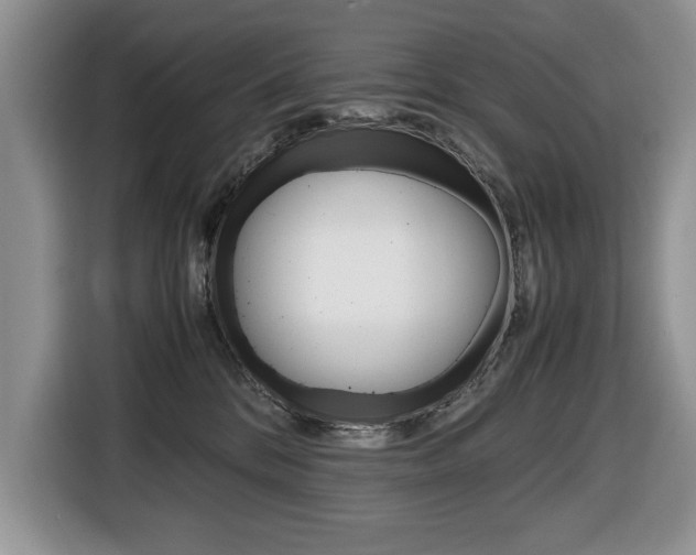X0000116680328200912141010