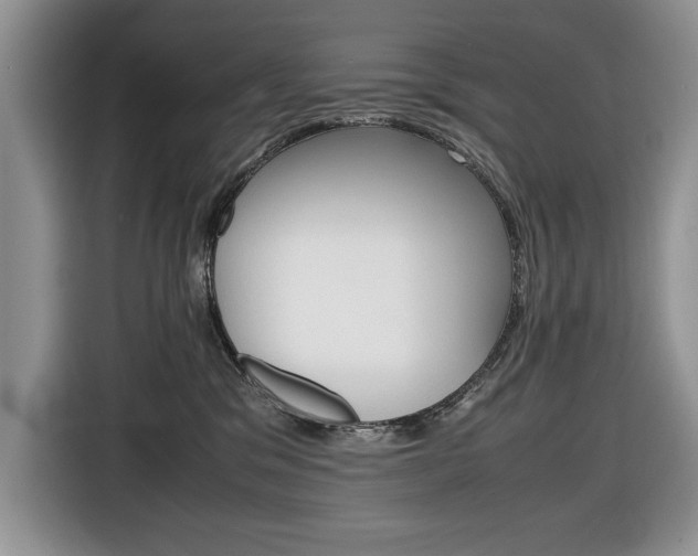 X0000116680329200912141010
