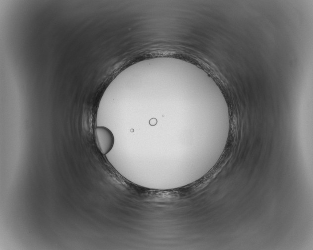 X0000116680330200912141010