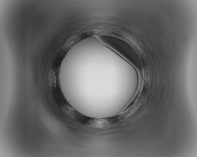 X0000116680333200912141010