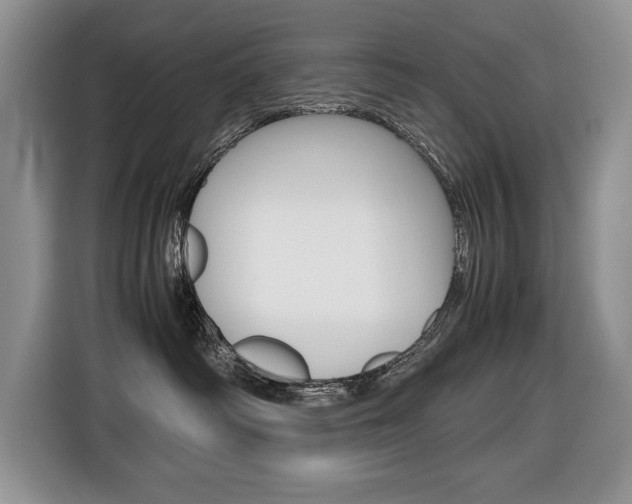 X0000116680334200912141010
