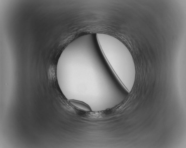 X0000116680335200912141010