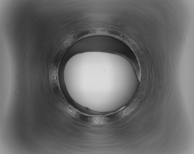 X0000116680336200912141010