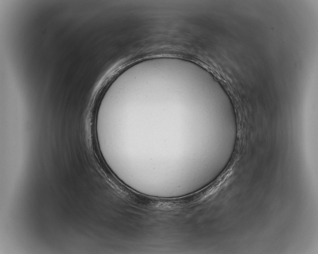 X0000116680341200912141010