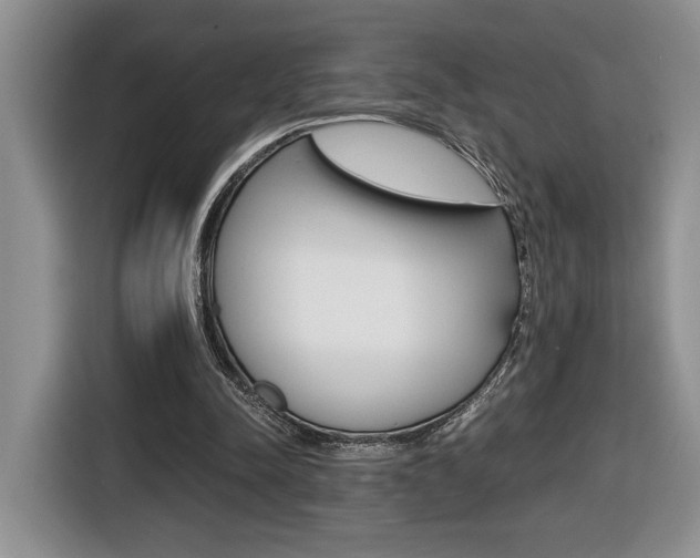 X0000116680342200912141010
