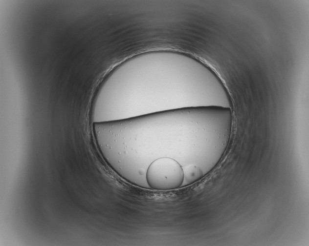 X0000116680345200912141010