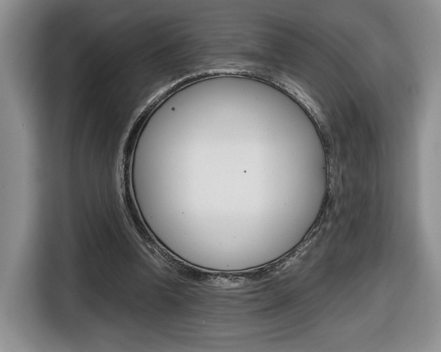 X0000116680346200912141010