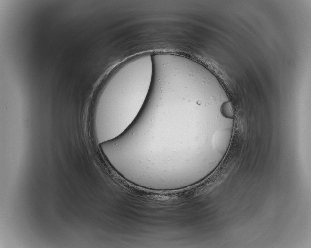 X0000116680347200912141010
