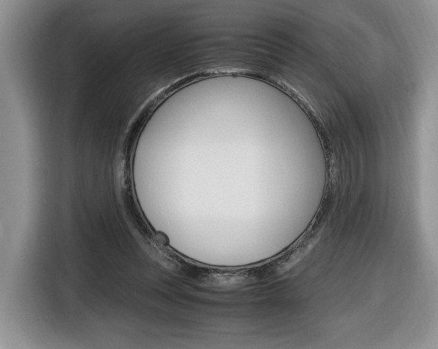 X0000116680351200912141010
