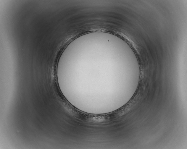 X0000116680353200912141010