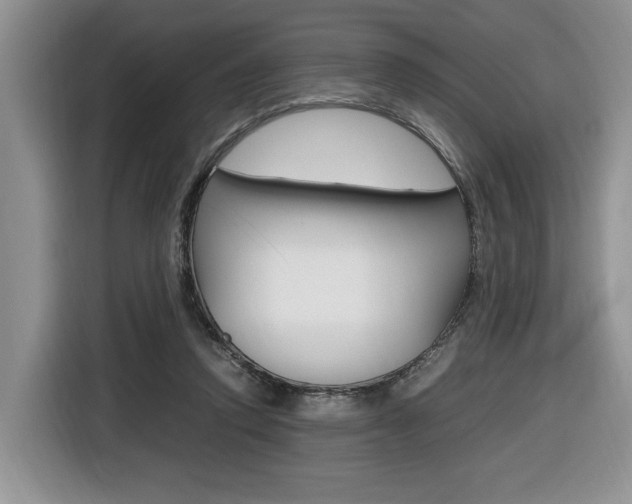 X0000116680354200912141010