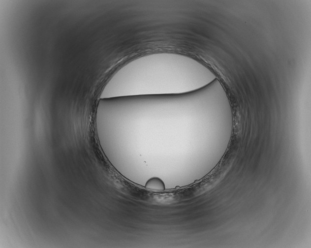 X0000116680355200912141010