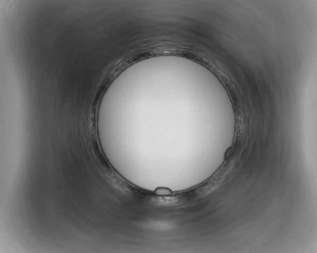 X0000116680361200912141010