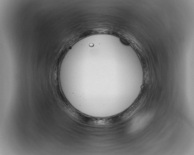 X0000116680365200912141010
